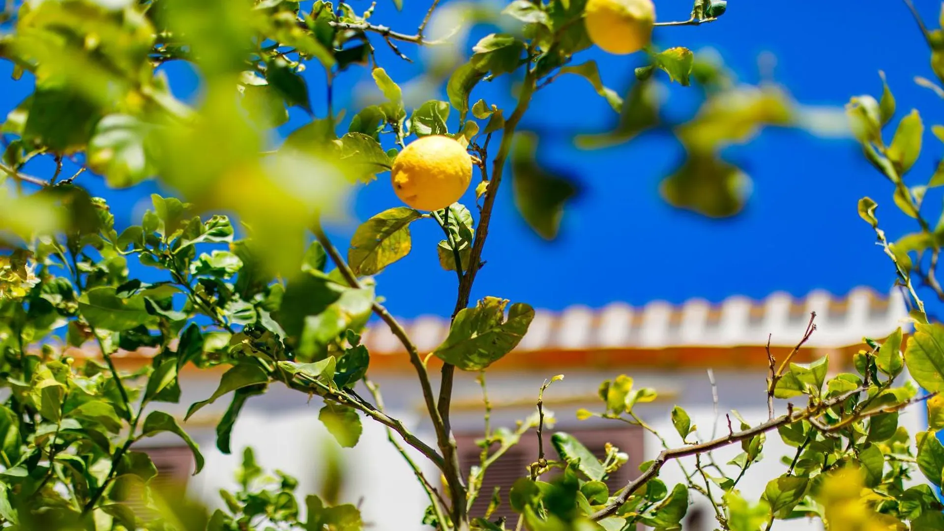 Sanvitotour- Residence Il Baglio San Vito Lo Capo Italy